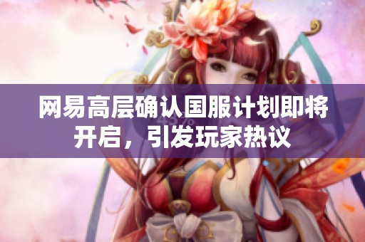 网易高层确认国服计划即将开启，引发玩家热议