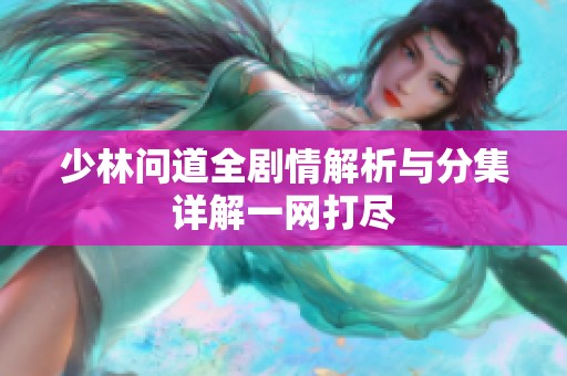 少林问道全剧情解析与分集详解一网打尽