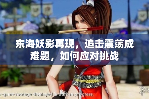 东海妖影再现，追击震荡成难题，如何应对挑战