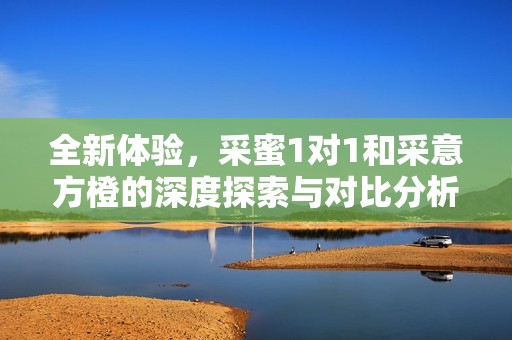 全新体验，采蜜1对1和采意方橙的深度探索与对比分析
